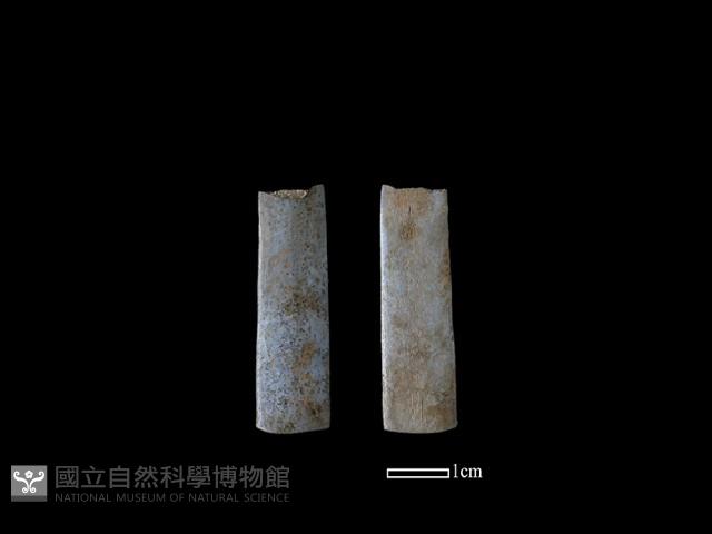 骨簪藏品圖，第1張