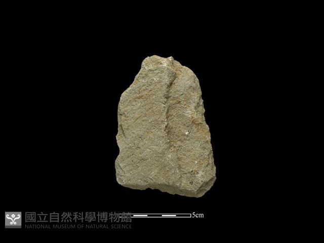 斧鋤形器藏品圖，第1張