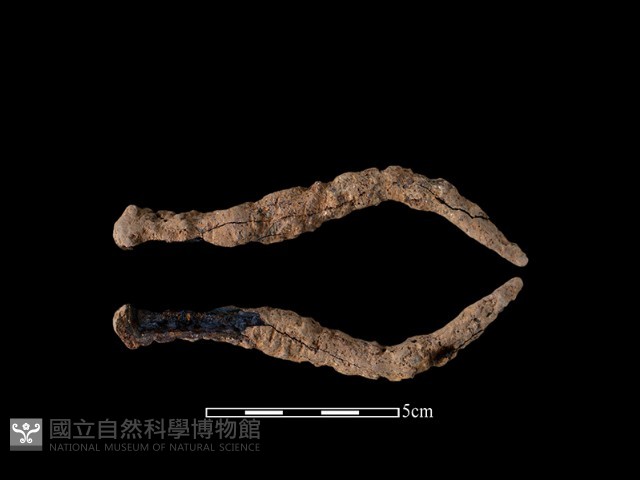 鐵釘藏品圖，第1張