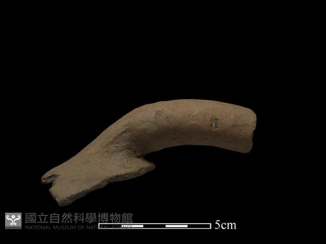 陶把藏品圖，第1張