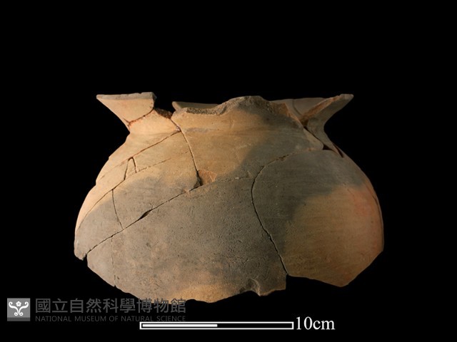 陶罐藏品圖，第2張