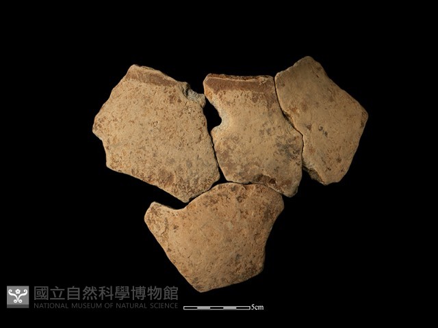 陶罐藏品圖，第1張