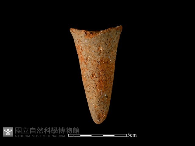 鬲足藏品圖，第1張