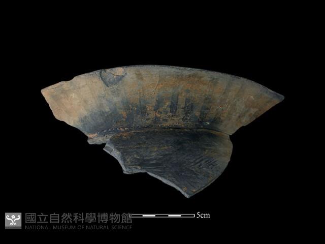 陶罐藏品圖，第1張