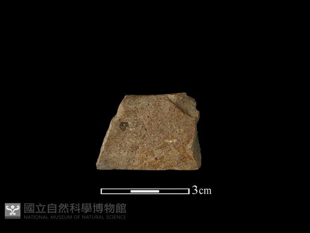 石刀藏品圖，第1張