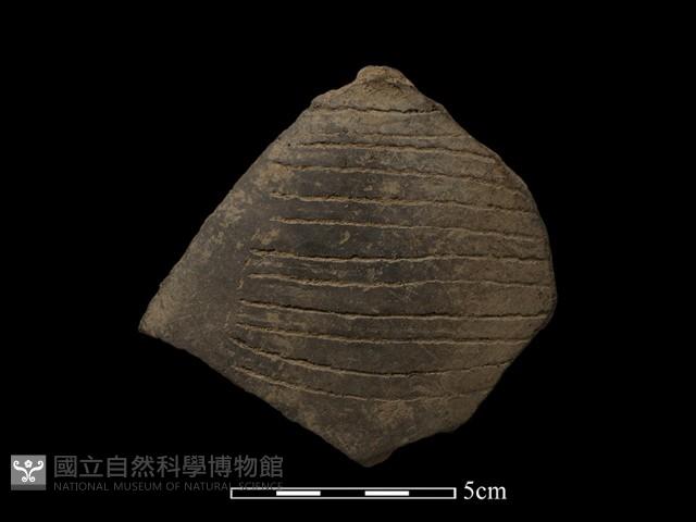 陶片藏品圖，第2張