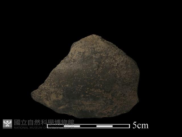 陶片藏品圖，第1張