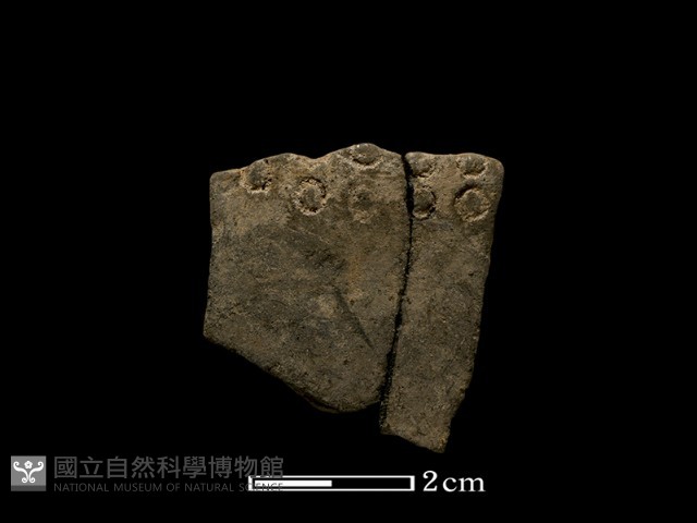 陶片藏品圖，第1張