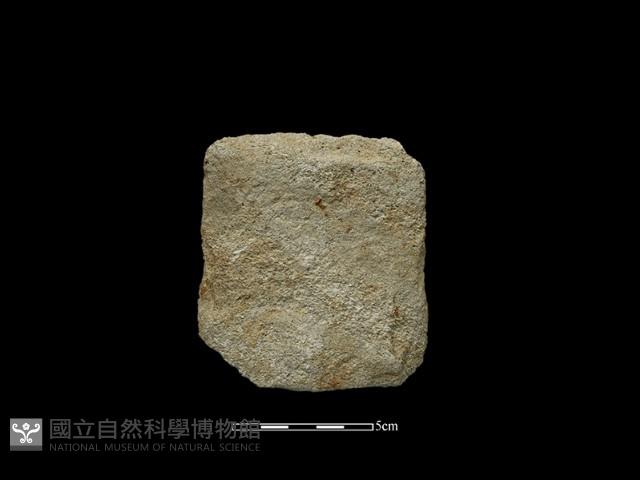 斧鋤形器藏品圖，第2張