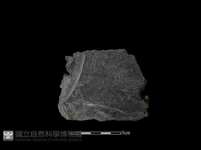 帶加工痕石材藏品圖，第1張