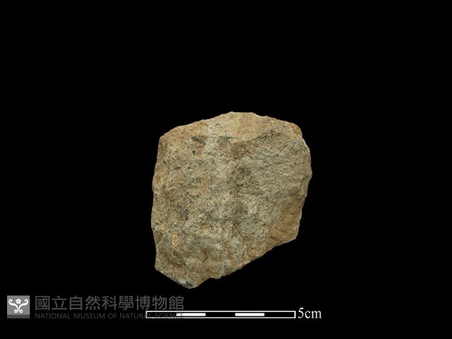 斧鋤形器藏品圖，第1張