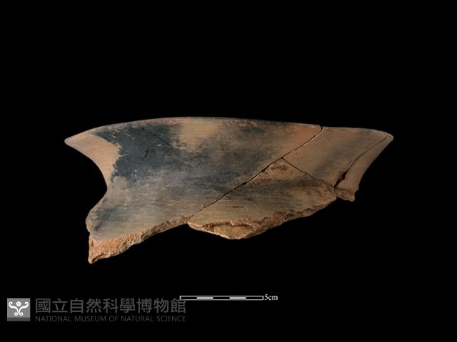 陶罐藏品圖，第2張