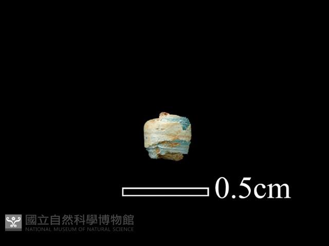 玻璃珠藏品圖，第1張