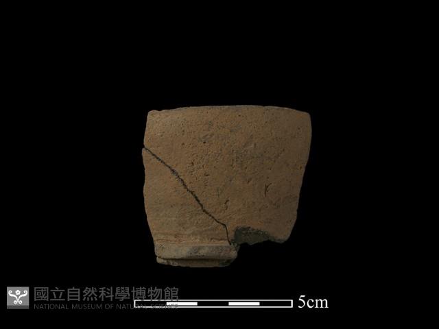 陶片藏品圖，第1張