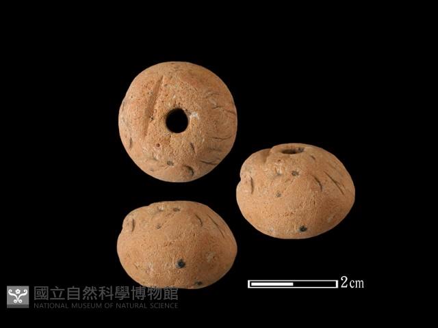 紡輪藏品圖，第1張