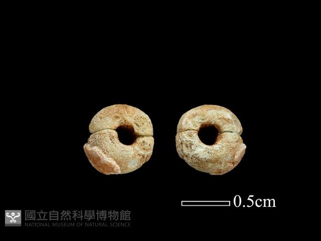 玻璃珠藏品圖，第1張