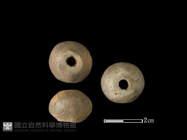 紡輪藏品圖，第1張
