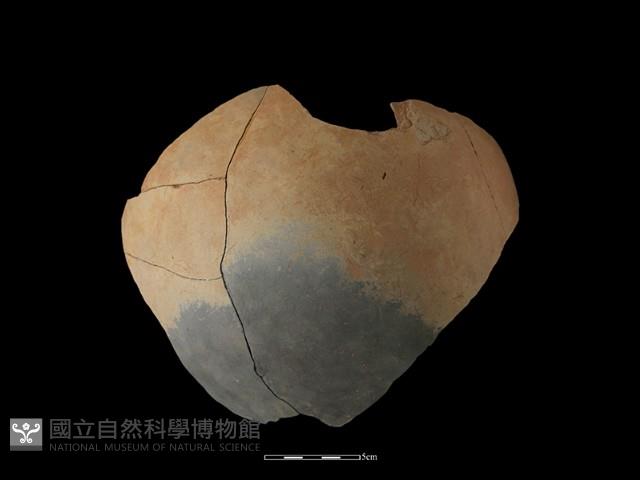 陶罐藏品圖，第1張