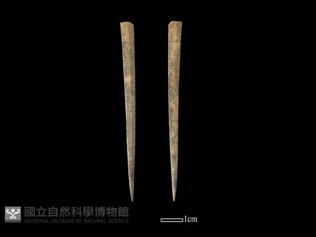 骨簪藏品圖，第1張