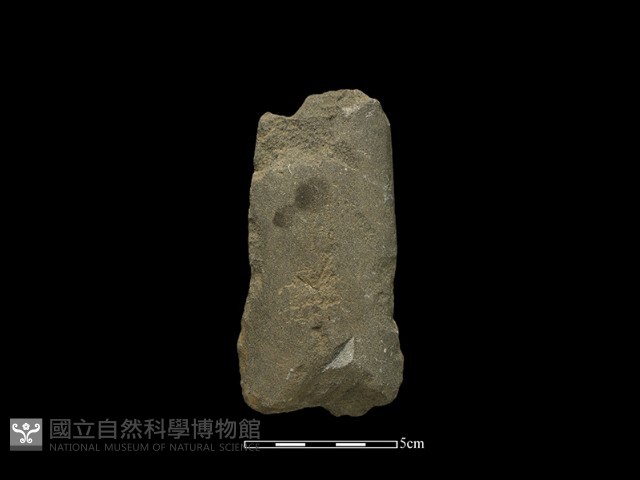 磨製斧鋤形器藏品圖，第1張