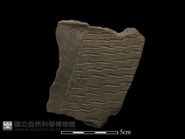 陶片藏品圖，第2張