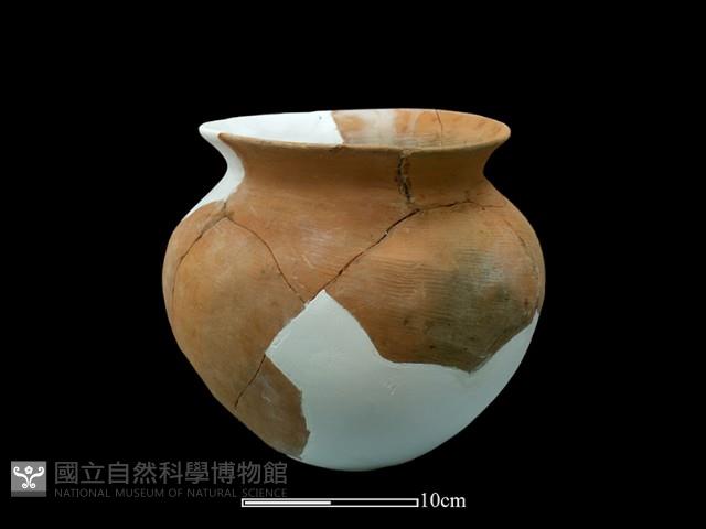 陶罐藏品圖，第2張