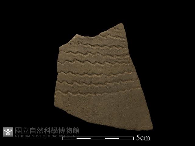 陶片藏品圖，第1張