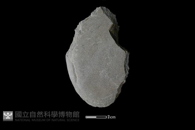 石鏟藏品圖，第1張