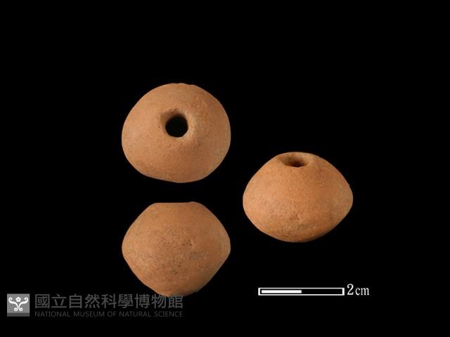 紡輪藏品圖，第1張