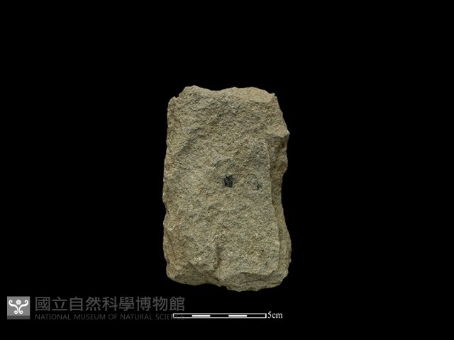 斧鋤形器藏品圖，第2張