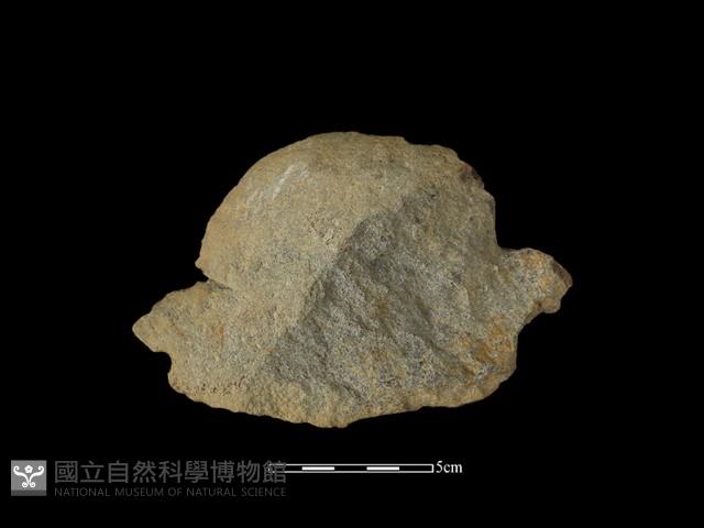 石片器藏品圖，第1張