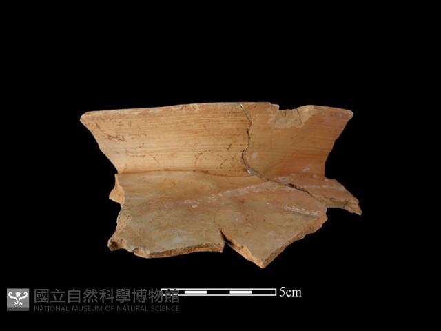 陶罐藏品圖，第1張