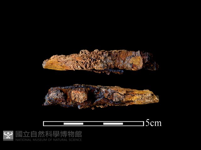 尖器藏品圖，第1張
