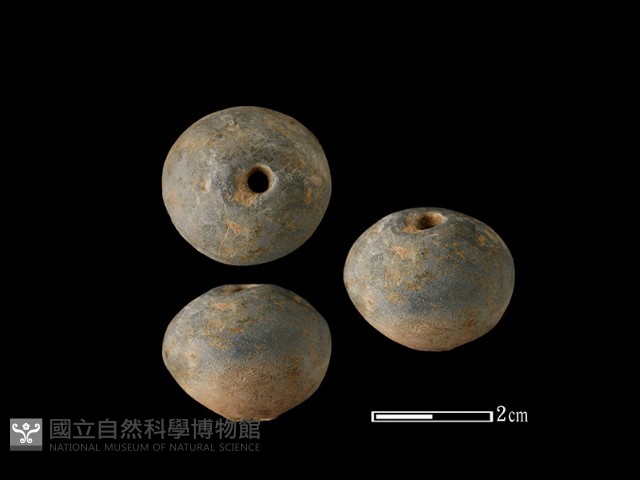 紡輪藏品圖，第1張