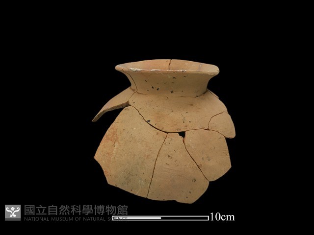 陶罐藏品圖，第1張