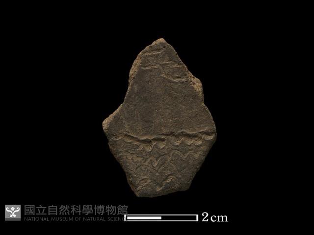 陶片藏品圖，第1張