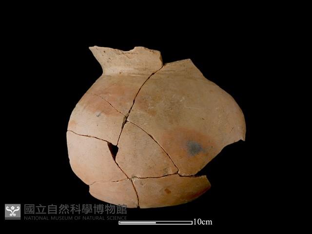 陶罐藏品圖，第1張