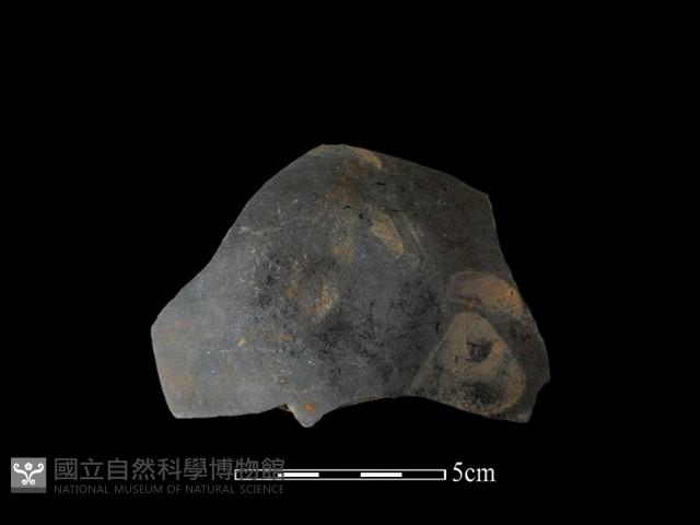 陶片藏品圖，第2張