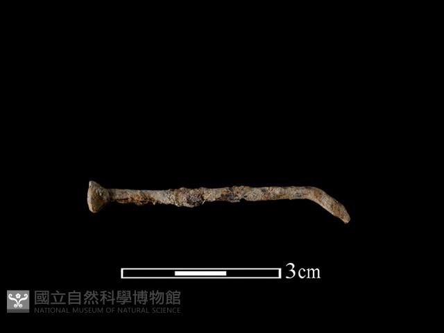 鐵釘藏品圖，第1張