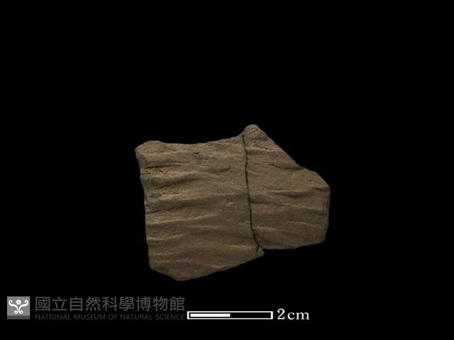 陶片藏品圖，第1張