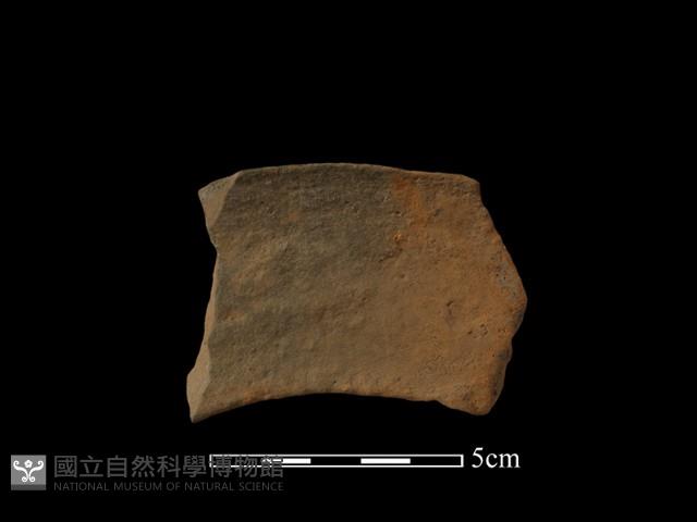 連杯形器藏品圖，第1張