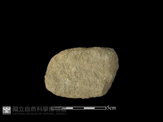 打製石器藏品圖，第1張