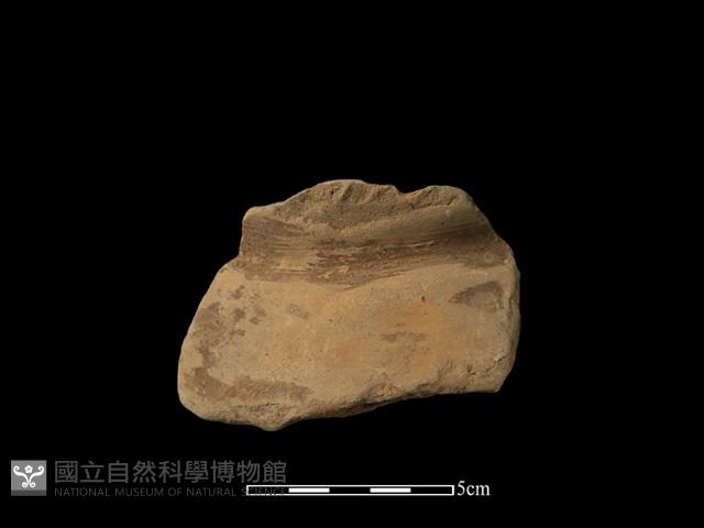 陶罐藏品圖，第1張