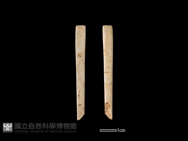 骨簪藏品圖，第1張