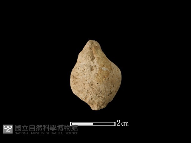 陶珠藏品圖，第2張