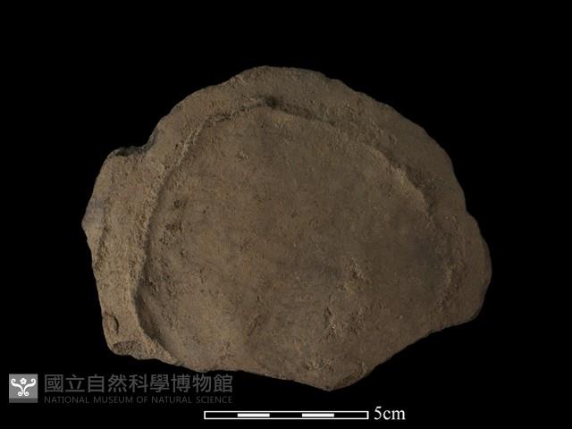 陶片藏品圖，第2張