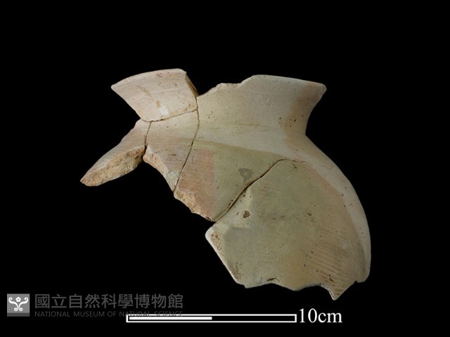 陶罐藏品圖，第1張