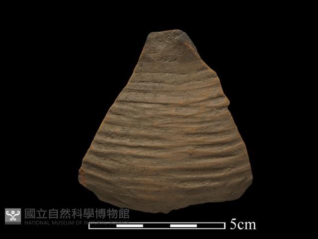 陶片藏品圖，第1張