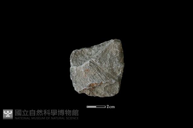 斧鋤形器藏品圖，第1張