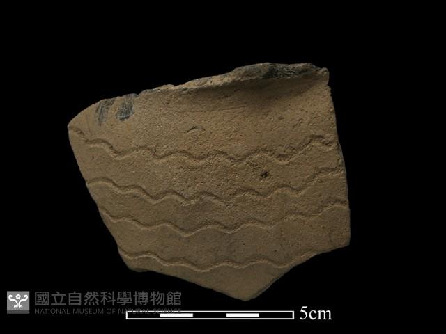 陶片藏品圖，第2張